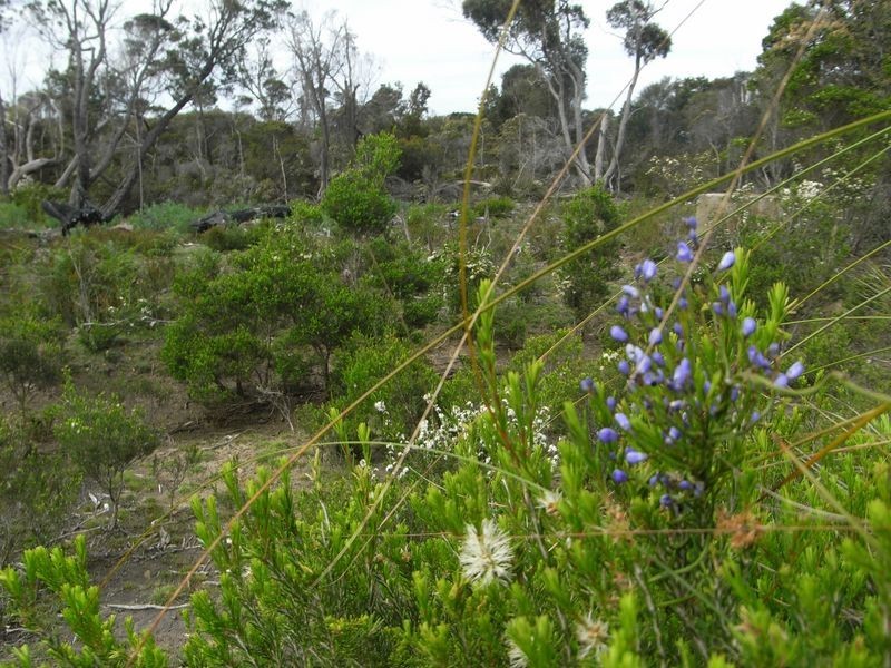 20 Pars Road, Greens Beach TAS 7270