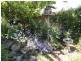 65 Conway Street, Mowbray TAS 7248