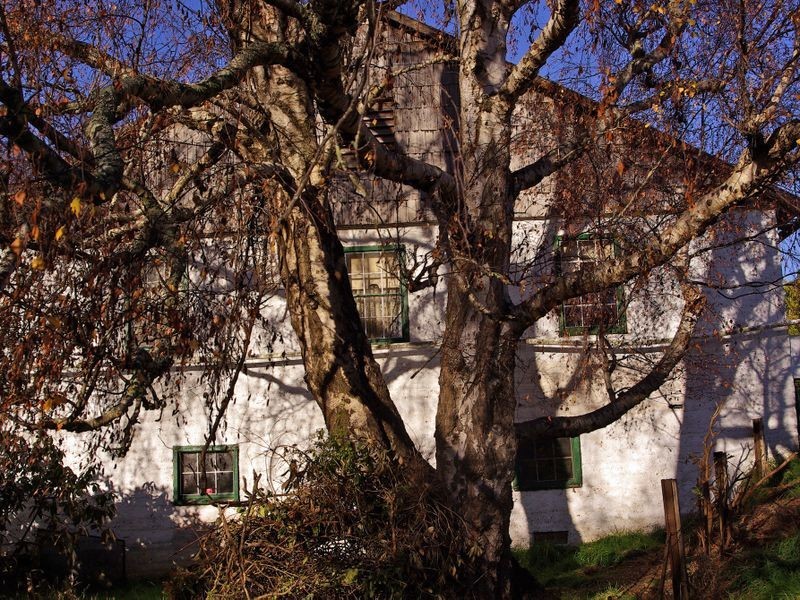 368 Lalla Road, Lalla TAS 7267