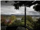 1273 East Tamar Highway, Dilston TAS 7252