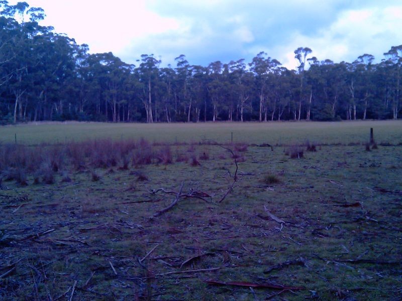 465 South Winkleigh Road, Glengarry TAS 7275