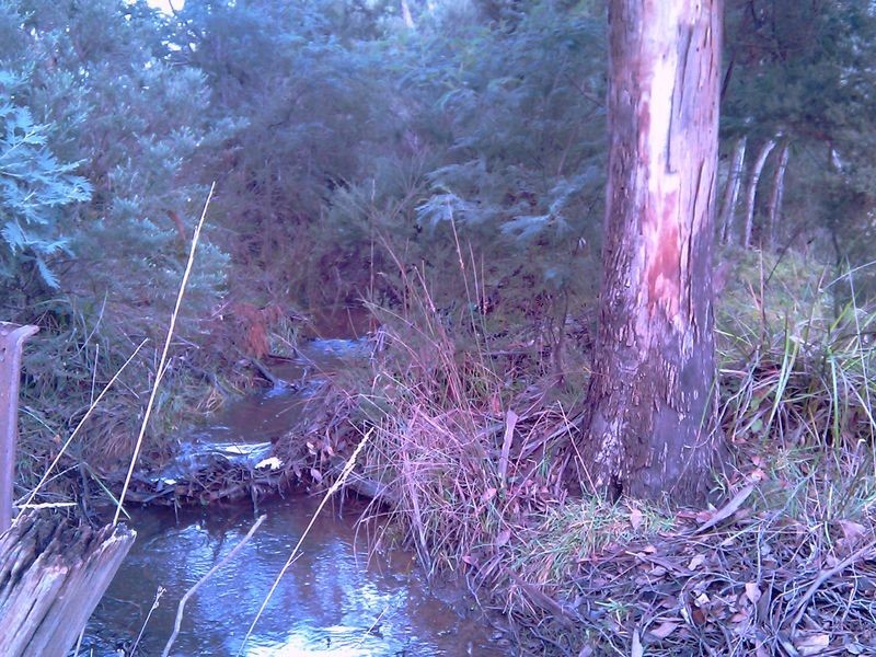 465 South Winkleigh Road, Glengarry TAS 7275