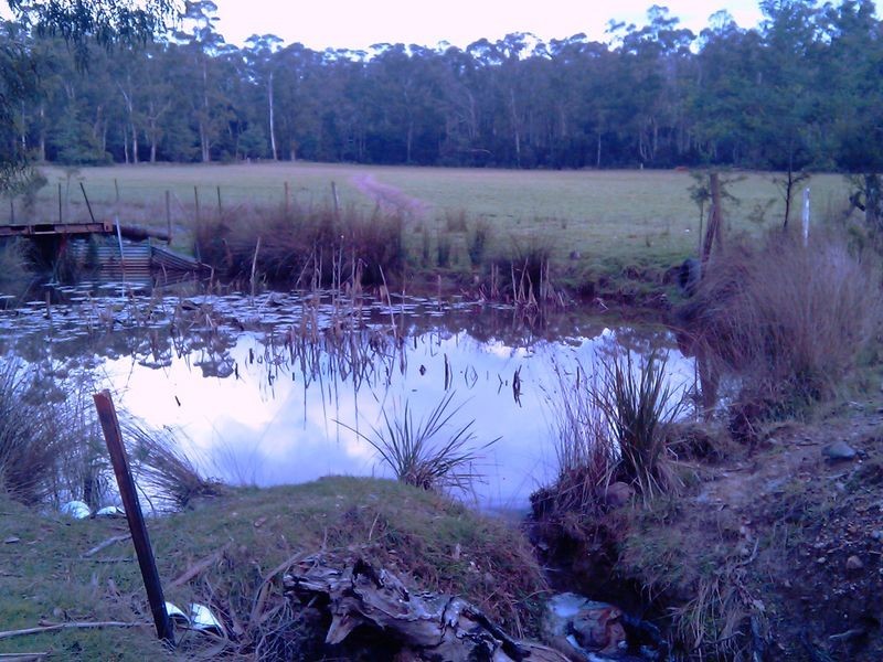 465 South Winkleigh Road, Glengarry TAS 7275