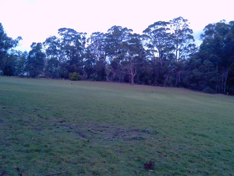 465 South Winkleigh Road, Glengarry TAS 7275