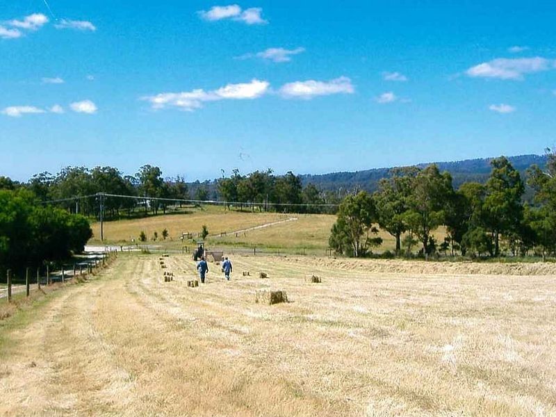 2239 Pipers River Road, Pipers River TAS 7252