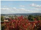 7 Cedar Street, Newnham TAS 7248