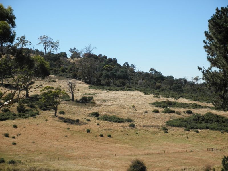 162 Norwich Drive, Longford TAS 7301