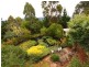5 Zenith Court, Blackstone Heights TAS 7250