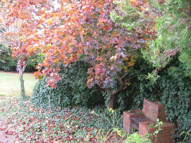 30 Chestnut Road, Youngtown TAS 7249