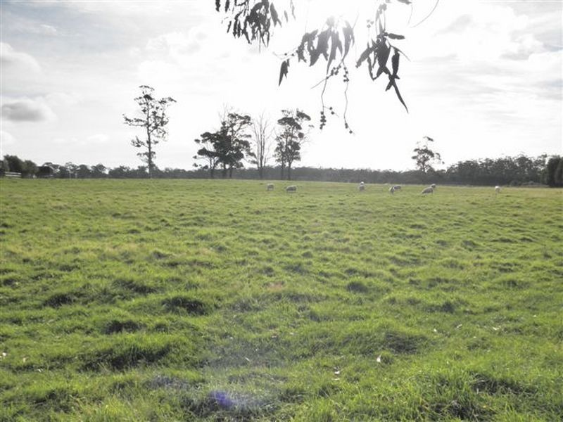 111 Douglas Road, Lefroy TAS 7252