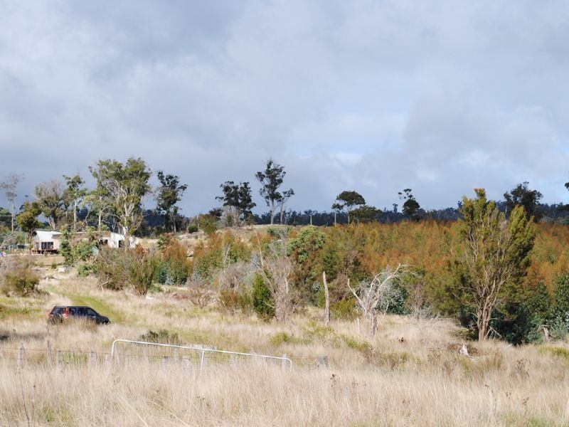 72 Gibsons Road, Riverside TAS 7250