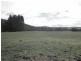 947 Bryants Lane, Deddington TAS 7212