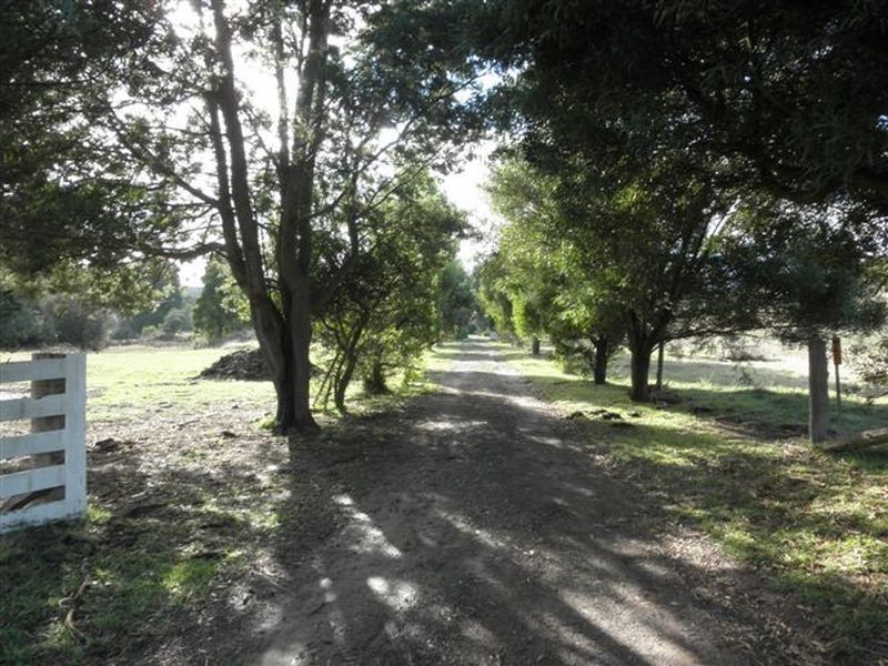 947 Bryants Lane, Deddington TAS 7212