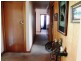 28 Laver Grove, Newnham TAS 7248