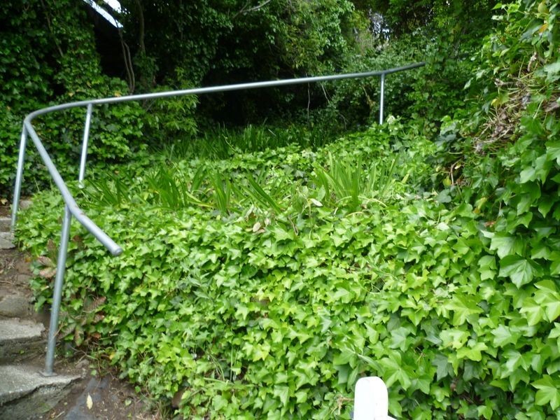 19 West Tamar Road, Trevallyn TAS 7250