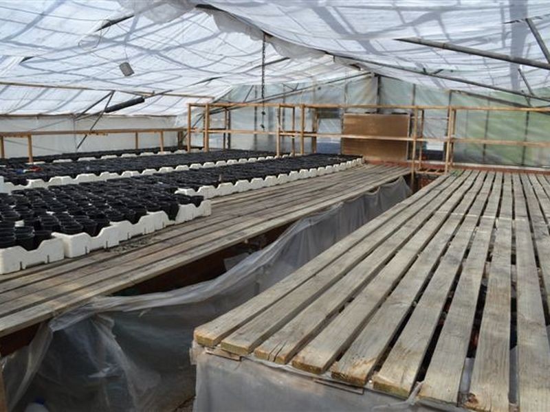 283 Vermont Road, Mowbray TAS 7248