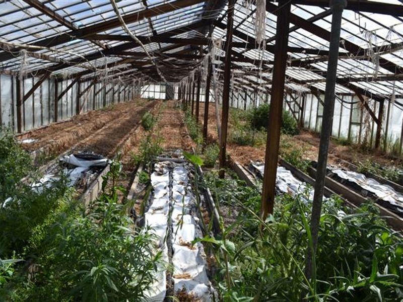 283 Vermont Road, Mowbray TAS 7248