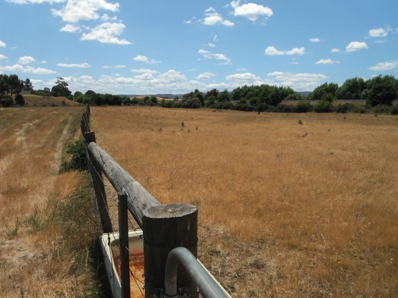 1 Forster Street, Campbell Town TAS 7210