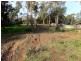 87 Beach Road, Legana TAS 7277