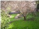 17 Bald Hill Road, Trevallyn TAS 7250