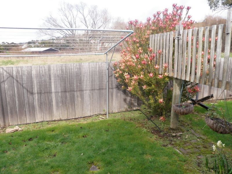 3/16 Benson Court, Riverside TAS 7250