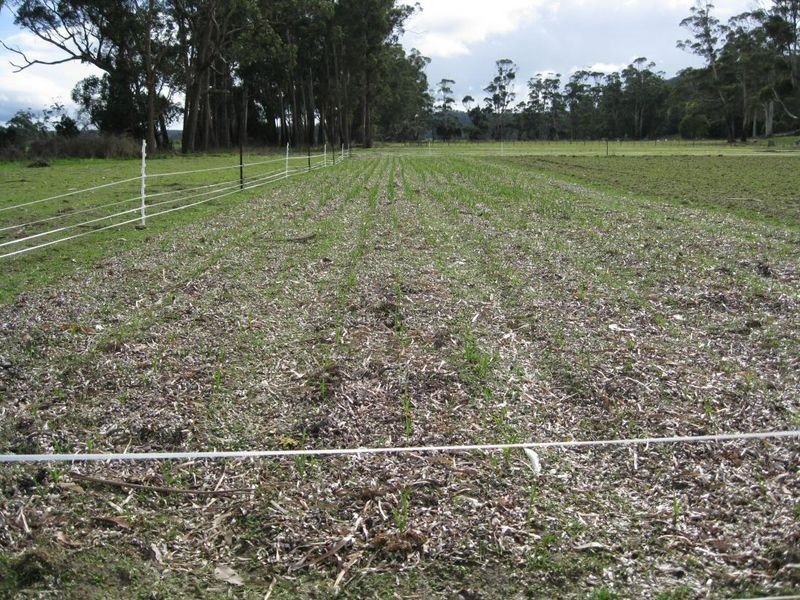 232 Greaves Road, Flowery Gully TAS 7270