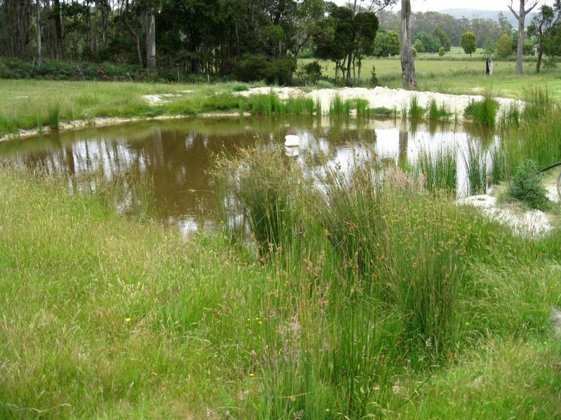 232 Greaves Road, Flowery Gully TAS 7270