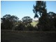 198 Lilydale Road, Underwood TAS 7268