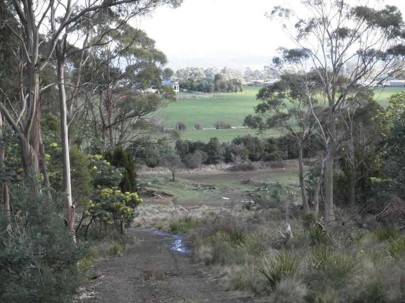 198 Lilydale Road, Rocherlea TAS 7248