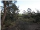 198 Lilydale Road, Rocherlea TAS 7248
