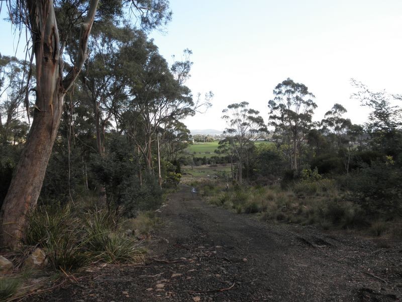198 Lilydale Road, Rocherlea TAS 7248
