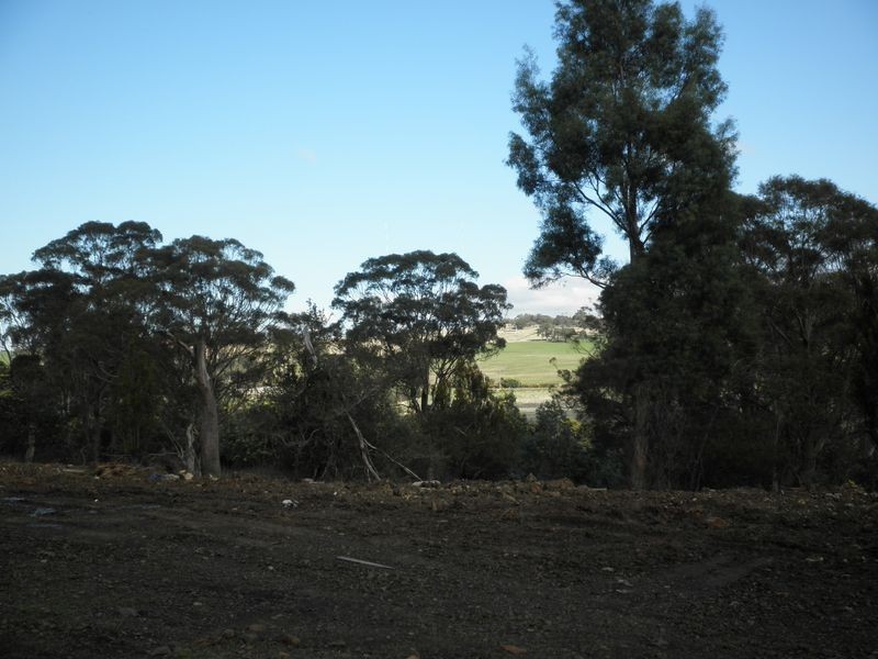 198 Lilydale Road, Rocherlea TAS 7248