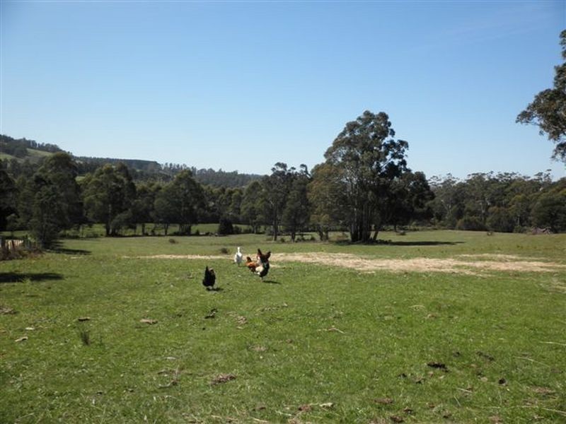 530 Rookery Road, Winkleigh TAS 7275