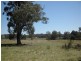 530 Rookery Road, Winkleigh TAS 7275