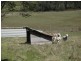 530 Rookery Road, Winkleigh TAS 7275