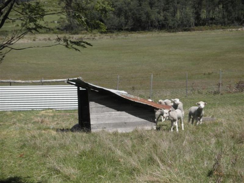 530 Rookery Road, Winkleigh TAS 7275