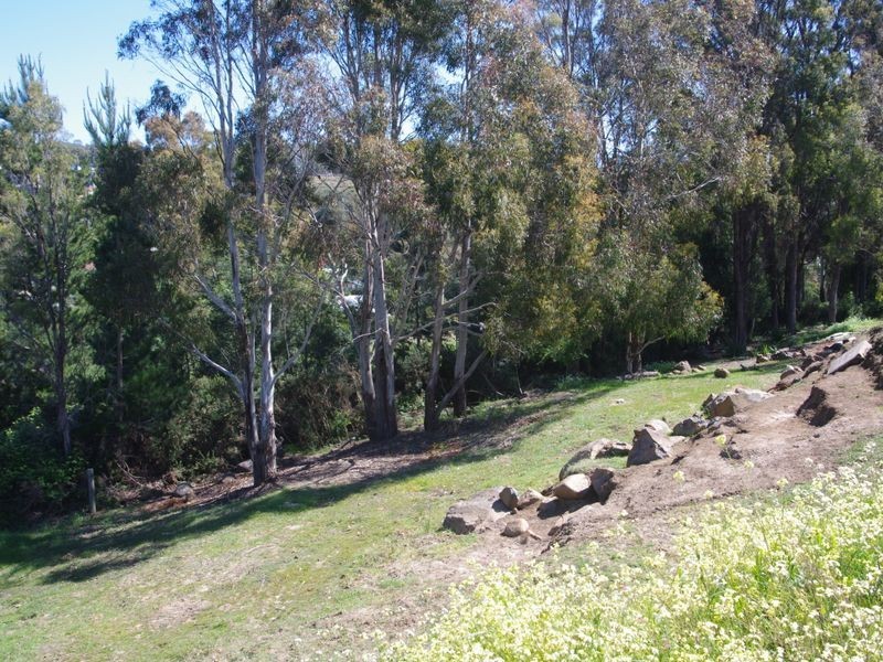 11 Grenadier Court, Trevallyn TAS 7250