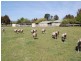193 High Street, Campbell Town TAS 7210