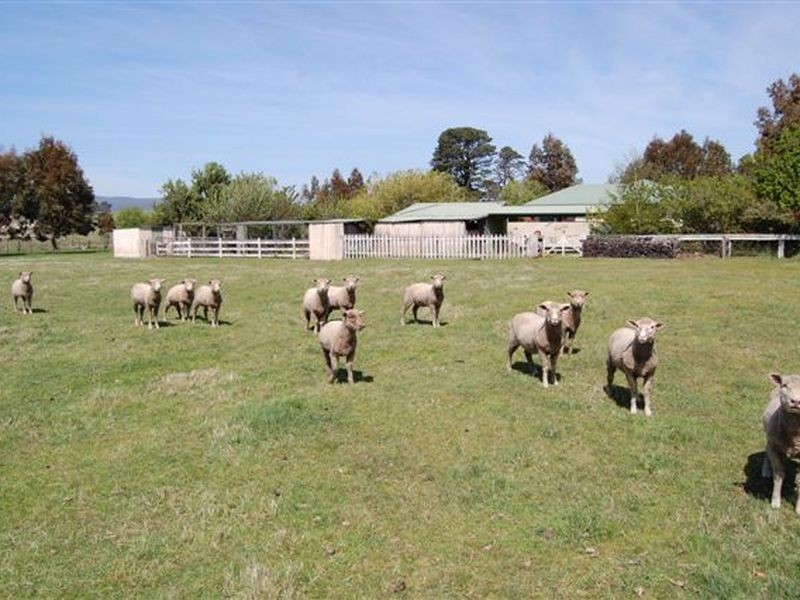 193 High Street, Campbell Town TAS 7210
