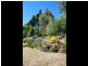8 Alexander Avenue, West Launceston TAS 7250