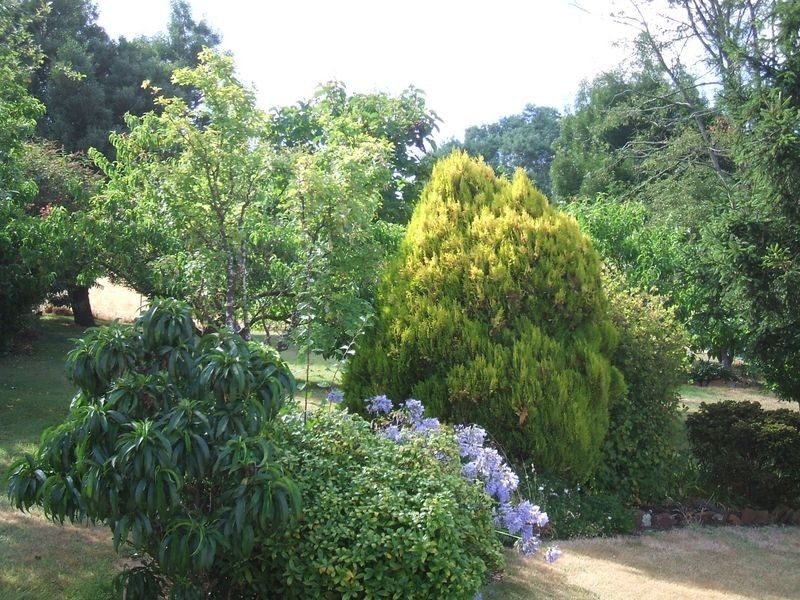 38 Tasman Highway, Waverley TAS 7250