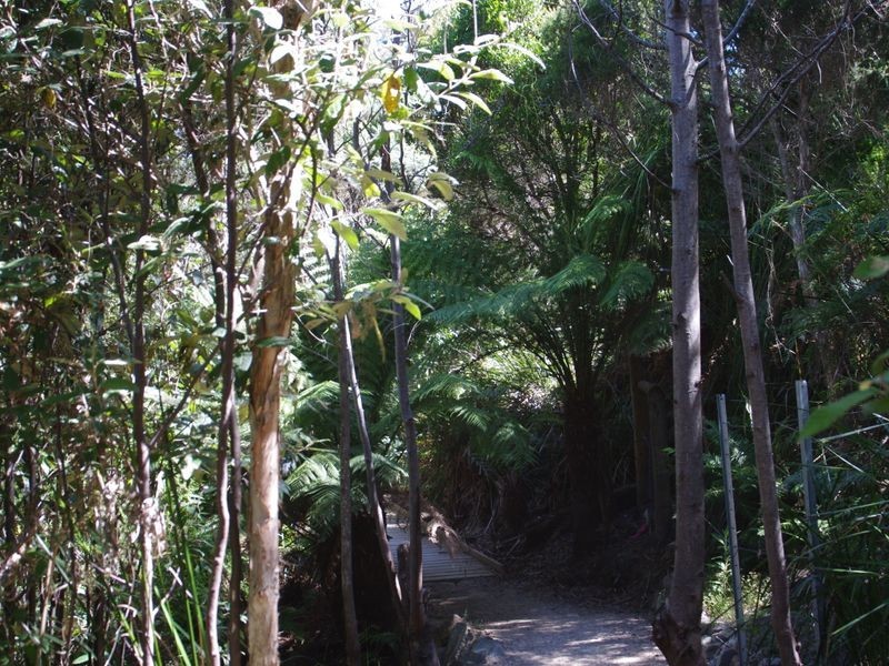 9/45 Elizabeth Street, Bridport TAS 7262