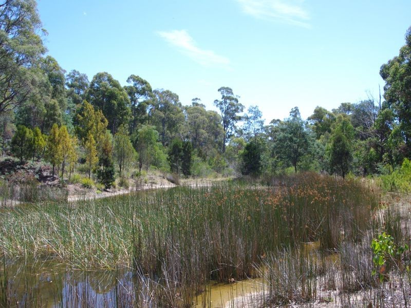 48 Loop Road, Glengarry TAS 7275