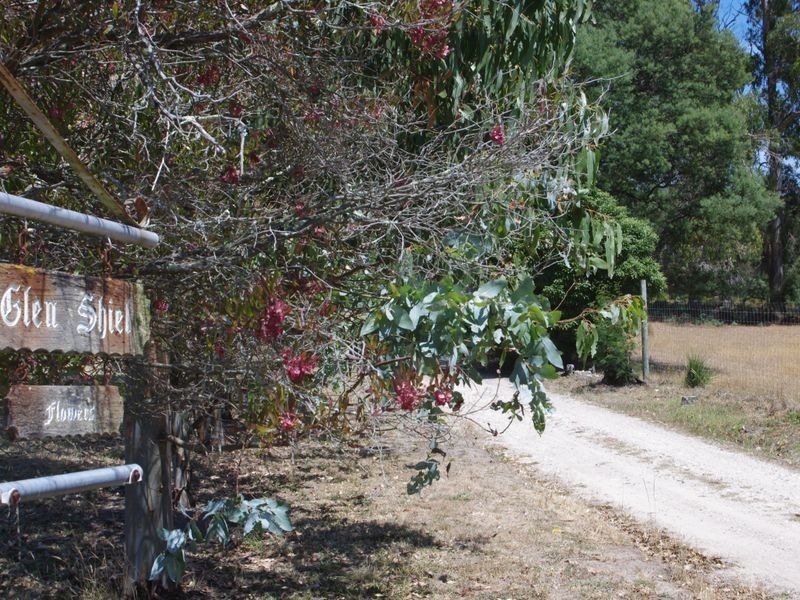 48 Loop Road, Glengarry TAS 7275