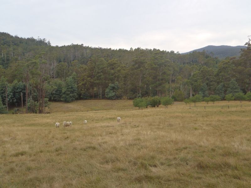 154 Camerons Road, Underwood TAS 7268