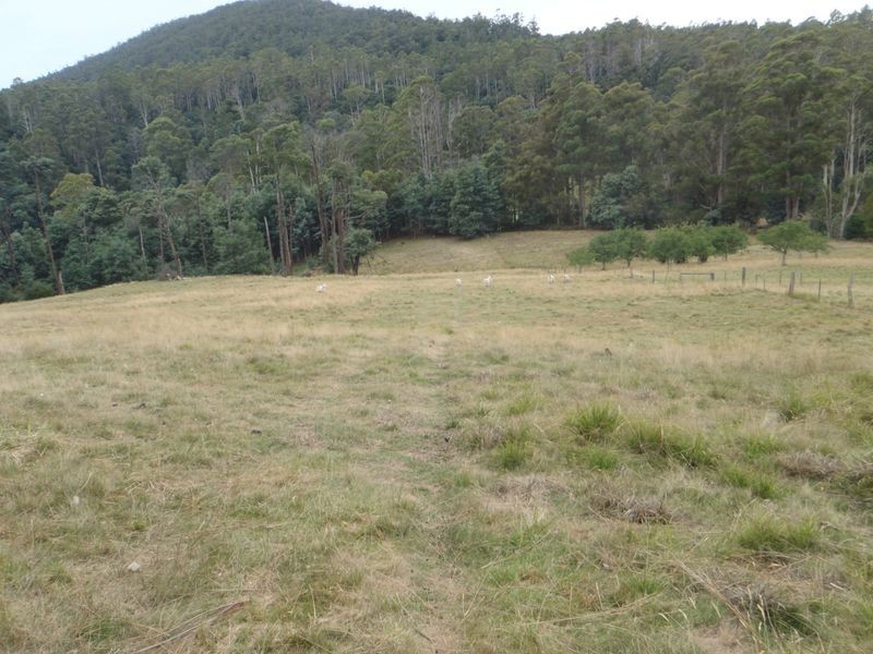 154 Camerons Road, Underwood TAS 7268