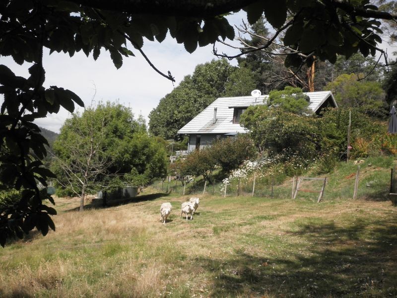 154 Camerons Road, Underwood TAS 7268