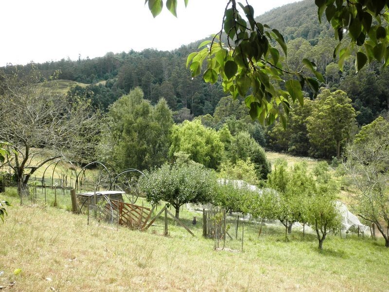 154 Camerons Road, Underwood TAS 7268