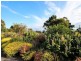 228 Bevic Road, Clarence Point TAS 7270