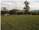 65 Staubi Road, Lilydale TAS 7268